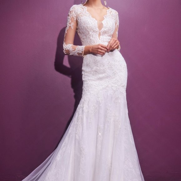 Cinderella Dresses & Skirts - Bridal Wedding Long Sleeves Illusion V-Neck Long Sleeve Wedding Dress CD951W